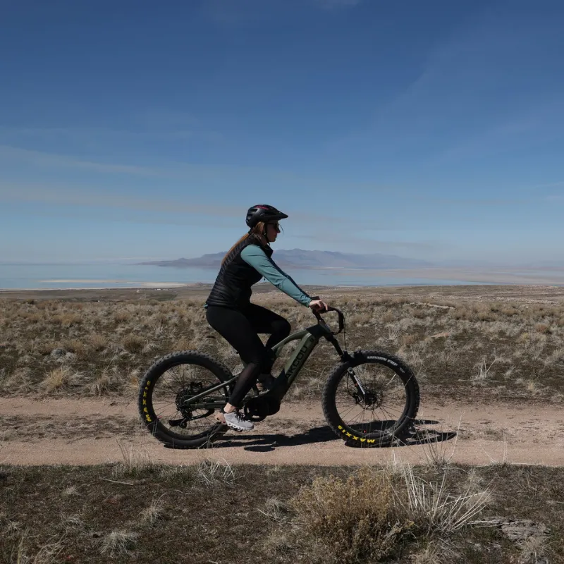 Bakcou Scout Full Suspension Mid-Drive Fat Tire Electric Bike, 1000W