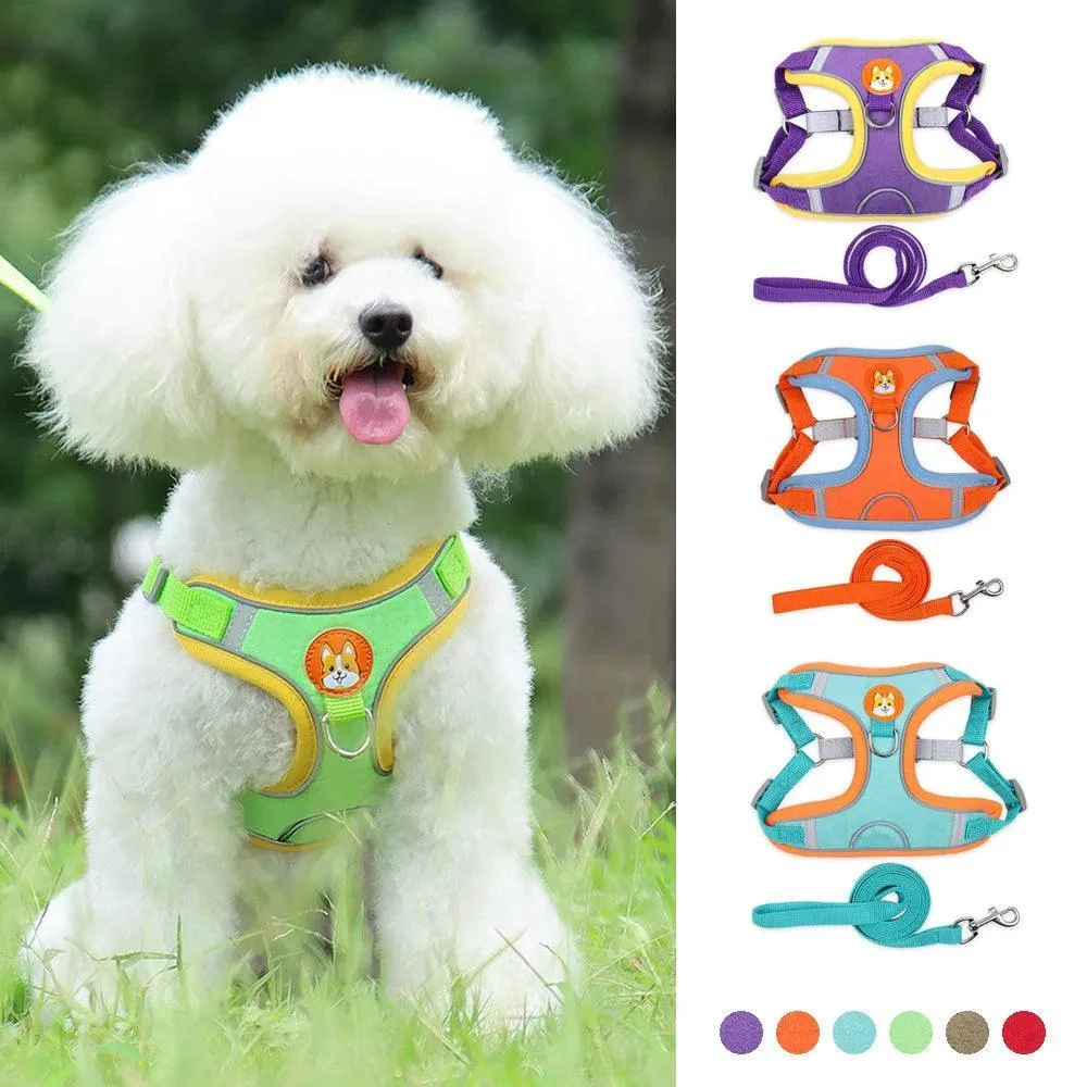 Innovative Dog Harness Set: Ultimate No-Pull Solution & Safety