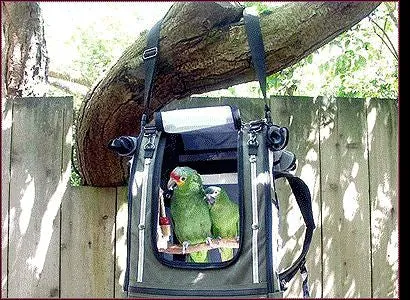 Pak-O-Bird Backpack Bird Carrier