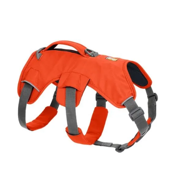 Ruffwear Web Master™ Dog Harness with Handle (Blaze Orange)